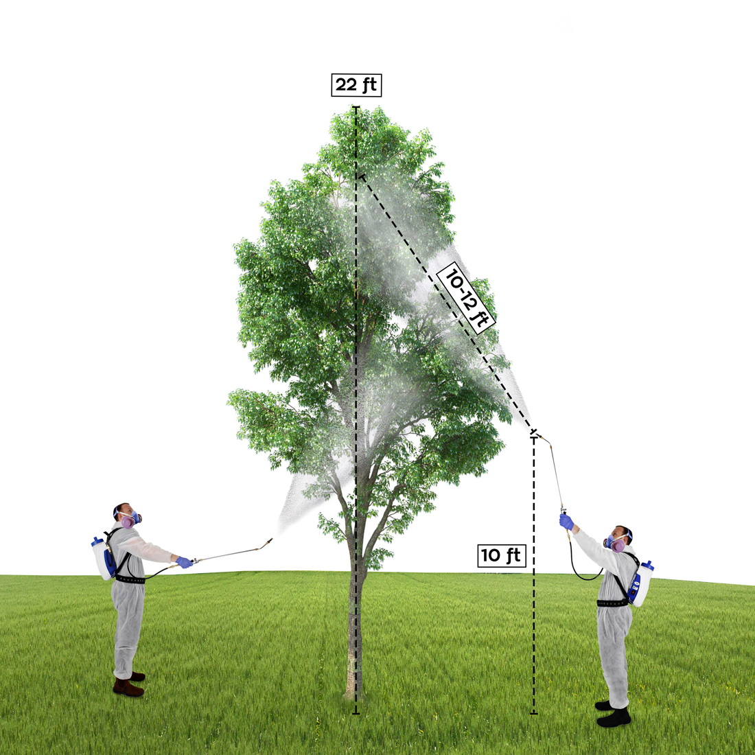Eliminator Tree treatment